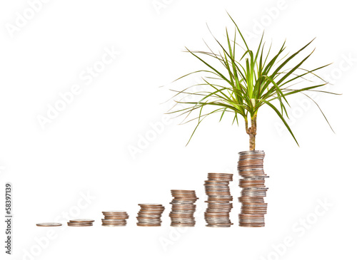Photo: Money growth concept on a white background Money growth concept on a white background