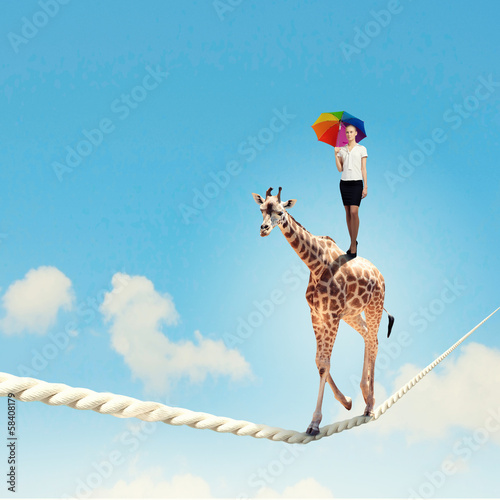 Photo: Giraffe walking on rope Giraffe walking on rope