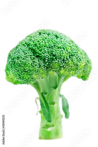 Photo: Broccoli Broccoli