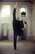 Fit young ballet dancer as a swan Fit young ballet dancer as a swan