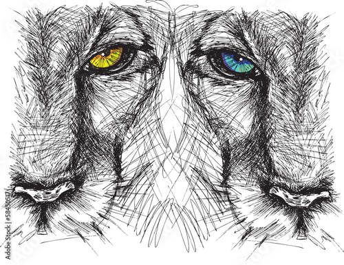 Fototapeta Hand drawn Sketch of a lion looking intently at the camera