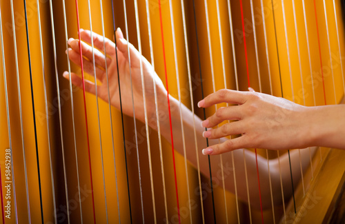 Photo: Woman playing the harp Woman playing the harp