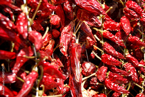 Photo: Group of Calabrian chiles Group of Calabrian chiles