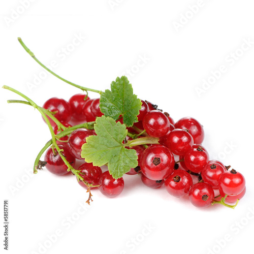 Photo: Red Currants with Green Leaves Isolated on White Background Red Currants with Green Leaves Isolated on White Background