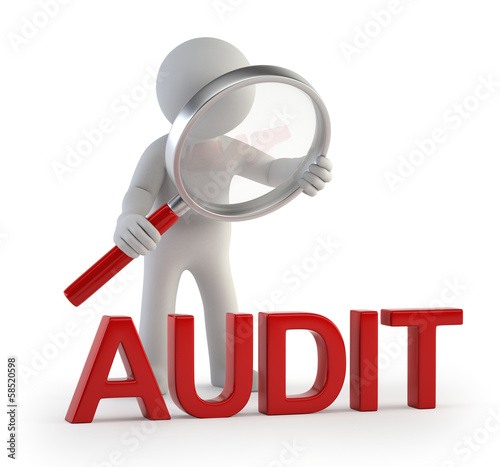 Illustration: 3d small people - lupe audit 3d small people - lupe audit
