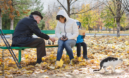 Photo: Family playing chess in the park with their cat Family playing chess in the park with their cat
