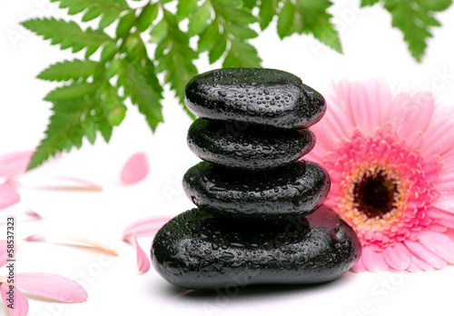 Photo: zen basalt stones and daisy isolated on white zen basalt stones and daisy isolated on white