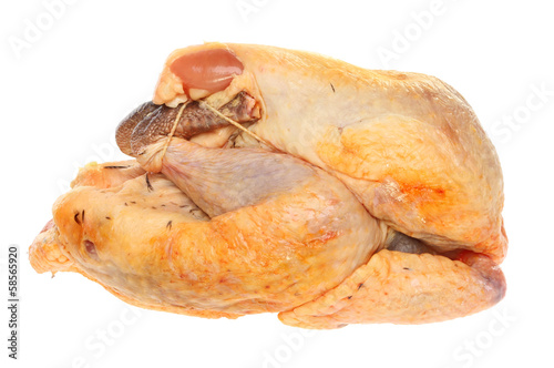 Photo: Guineafowl Guineafowl