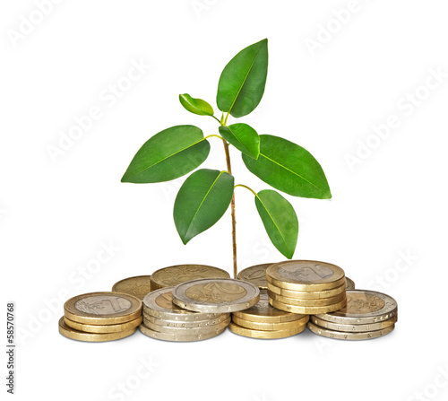 Photo: Sapling growing from coins Sapling growing from coins