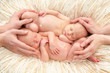 Hands holding newborn twin babies Hands holding newborn twin babies