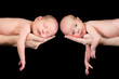 Baby twins Baby twins