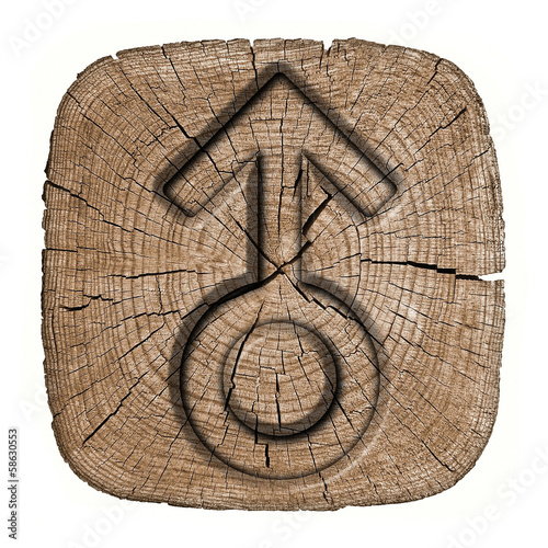 Photo: Male sign sex, wooden label Male sign sex, wooden label