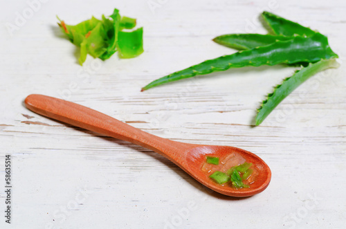 Photo: Aloe Vera Aloe Vera