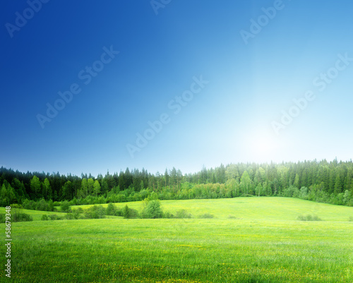 Photo: field of grass and perfect sky field of grass and perfect sky