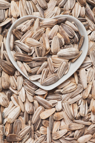 Photo: Sunflower seed Sunflower seed