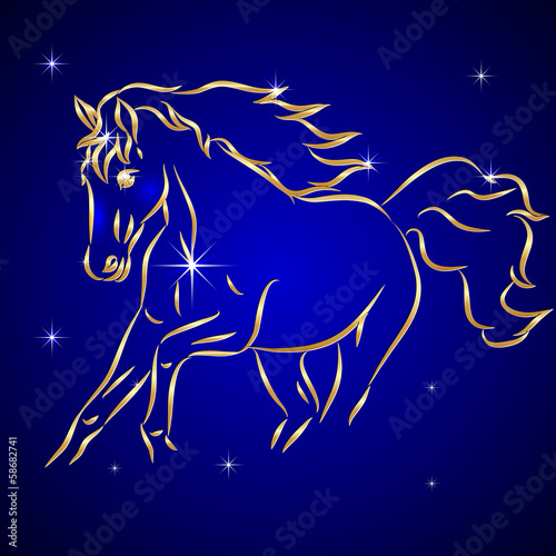 Vector: Vector Sketch of Horse in the Sky with Stars Vector Sketch of Horse in the Sky with Stars
