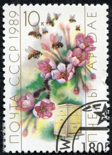 Photo: stamp printed in the USSR shows worker bee collecting pollen stamp printed in the USSR shows worker bee collecting pollen