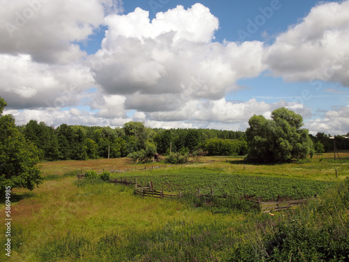 Photo: kitchen garden kitchen garden