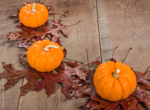Photo: Pumkins and fall leaves for decoration Pumkins and fall leaves for decoration
