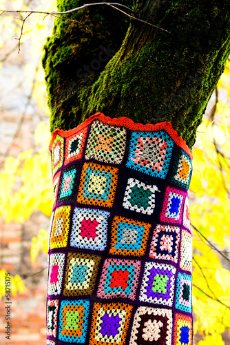 Photo: alberi vestiti - dressed trees alberi vestiti - dressed trees
