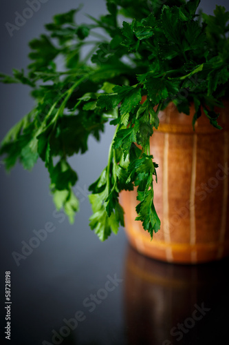 Photo: fresh parsley fresh parsley