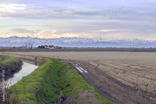 Photo: Lomellina countryside autumn view color image Lomellina countryside autumn view color image