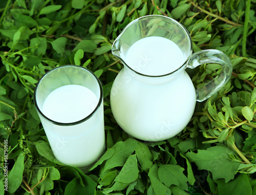 Photo: Pitcher and glass of milk on grass Pitcher and glass of milk on grass