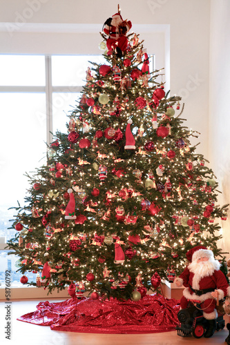 Photo: Christmas tree Christmas tree