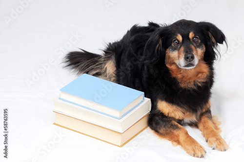 Photo: Reading Dog Reading Dog