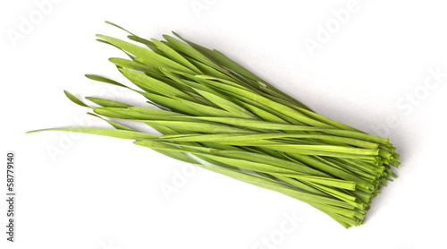 Photo: Weizengrasschnitt Weizengrasschnitt