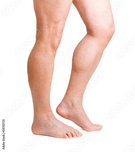 Photo: Human Legs Human Legs