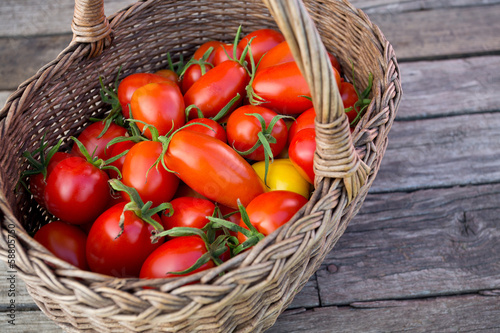 Photo: basket with fresh tomatoes basket with fresh tomatoes