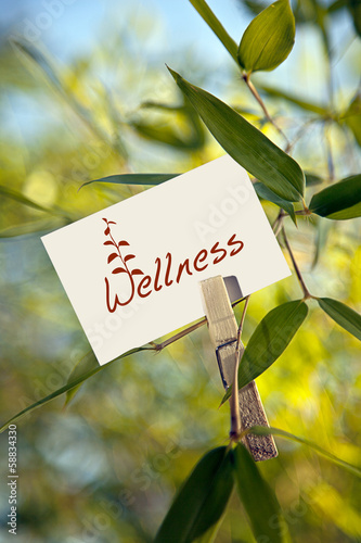 Photo: Wellness Wellness