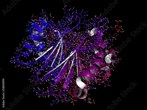 Illustration: Recombinant DNase I DNA cutting enzyme (dornase alfa) Recombinant DNase I DNA cutting enzyme (dornase alfa)