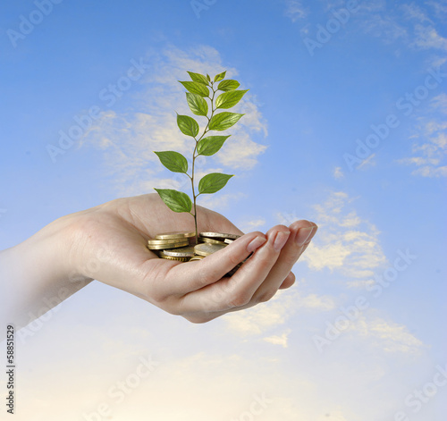 Photo: Investing to green business Investing to green business