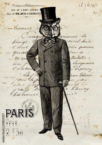 Photo: Homme Hiboux Homme Hiboux