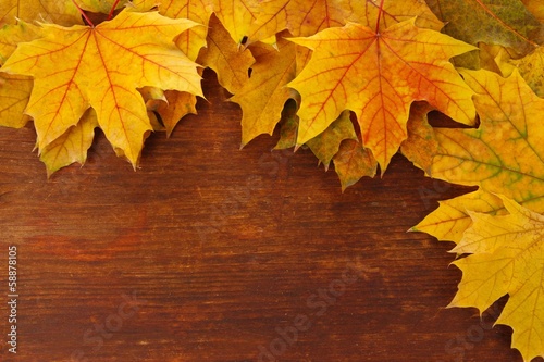 Photo: Yellow maple leaves on wooden background Yellow maple leaves on wooden background