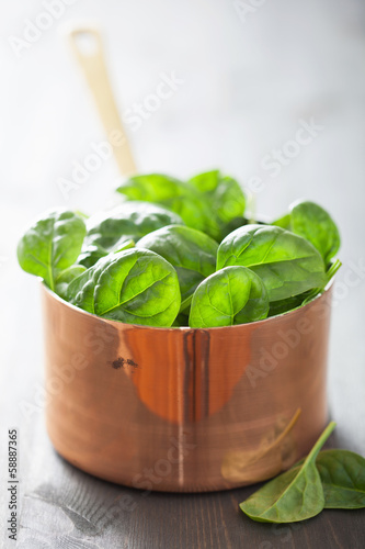 Photo: baby spinach leaves in copper pot baby spinach leaves in copper pot