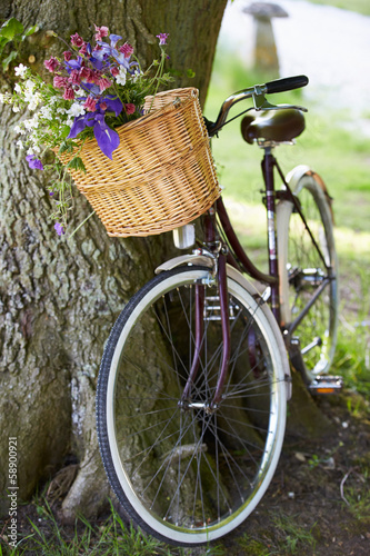 Photo: Old Fashioned Bicycle Leaning Against Tree Old Fashioned Bicycle Leaning Against Tree