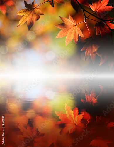 Photo: 紅葉 紅葉