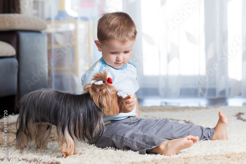 Photo: kid feeding pet dog kid feeding pet dog