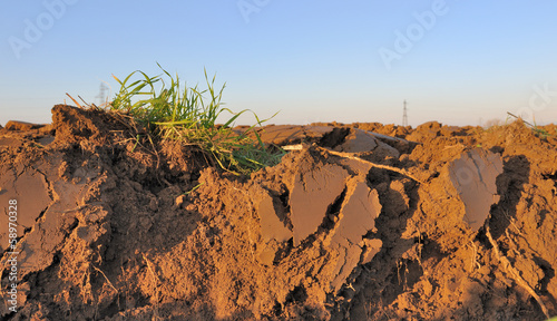Photo: terre arable terre arable