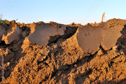 Photo: vue en coupe transversale de terre arable vue en coupe transversale de terre arable