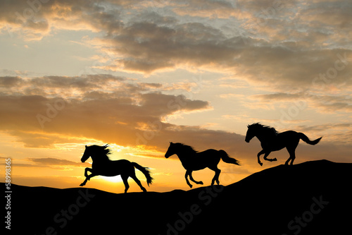 Photo: Galloping wild horses. Horse silhouette against the sky. Galloping wild horses. Horse silhouette against the sky.