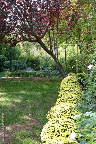 Photo: Green garden Green garden