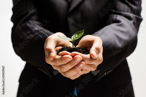Photo: Sprout in hands Sprout in hands