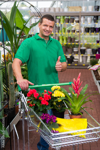 Photo: pflanzen im fachhandel einkaufen pflanzen im fachhandel einkaufen