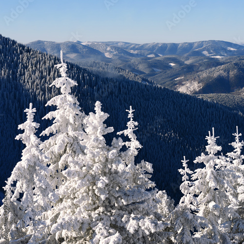 Photo: Winter in mountains Winter in mountains