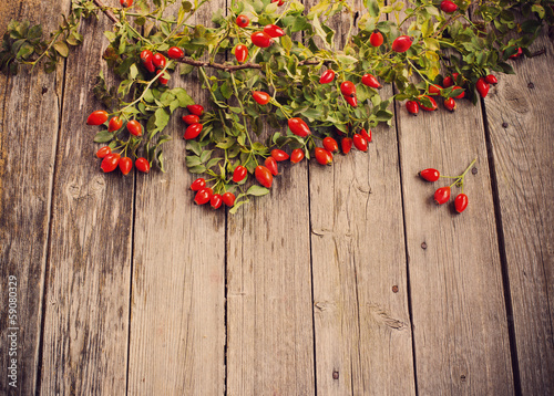 Photo: Dogrose with leafs over Wooden Background Dogrose with leafs over Wooden Background