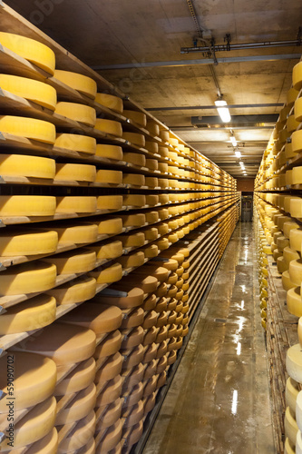Photo: Magazzino per stagionatura del formaggio Magazzino per stagionatura del formaggio